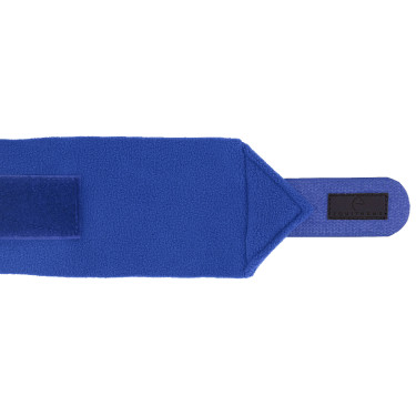 Ventas de polo EQUITHÈME Azul real