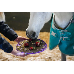 Tapete para lamer LIKIT Graze Maze Púrpura Violeta