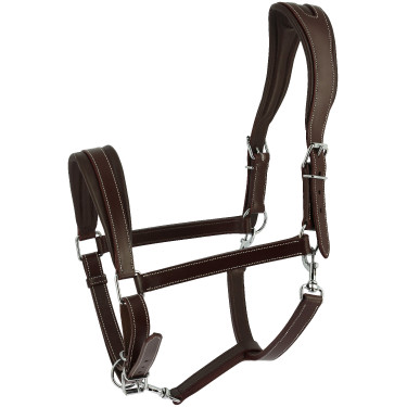 Cabezada Ardenesa Norton Havana Marrón