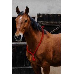 Collar Etológico NORTON Roja Rojo