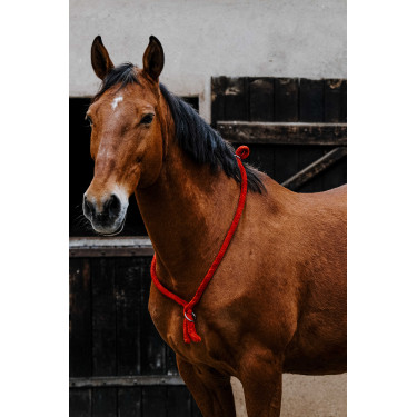 Collar Etológico NORTON Roja Rojo