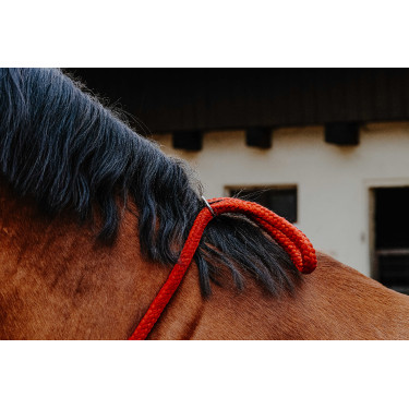 Collar Etológico NORTON Roja Rojo