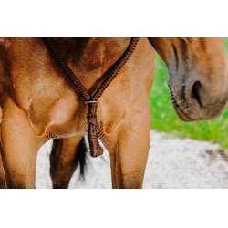 Collar Etológico NORTON Castaño Marrón