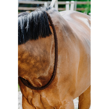 Collar Etológico NORTON Castaño Marrón