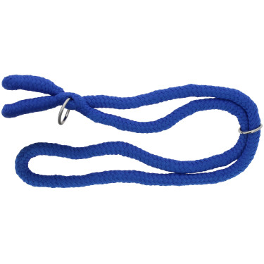 Collar Etológico NORTON Azul real