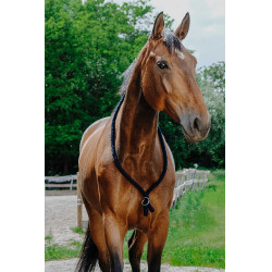 Collar Etológico NORTON Marino Azul marino