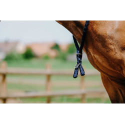 Collar Etológico NORTON Marino Azul marino