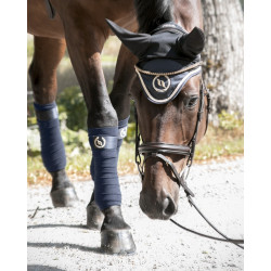 Orejeras Night Collection Back On Track