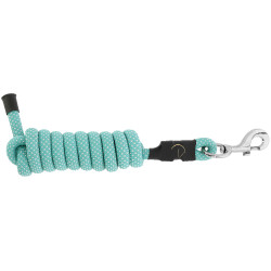 Ramal EQUITHEME Spring Turquesa / blanco Azul