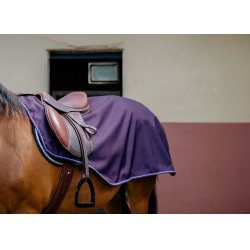 Riñonera Equithème - TYREX 600D - Tejido polar Ciruela Violeta