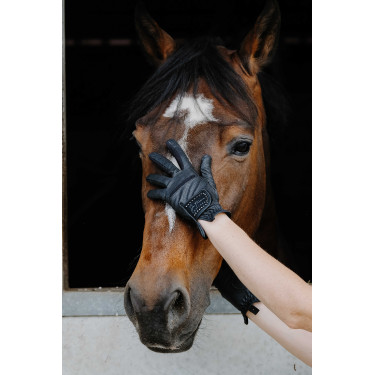 Guantes Te quiero Equithème Strass Negro Guantes Te quiero Equithème Strass Negro