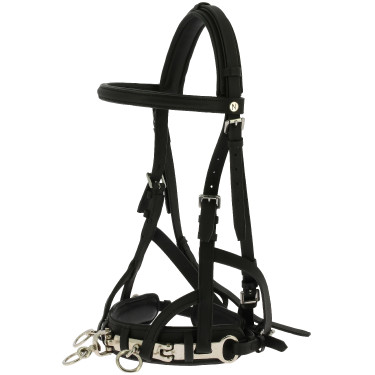 Cabezada de trabajo Norton Negro