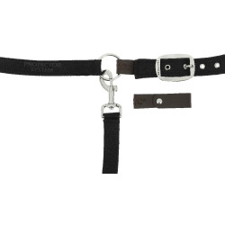 Cabezada de nylon Equithème Protector Negro