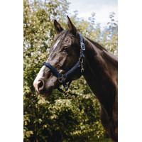 Cabezada de nylon Equithème Protector Verde Cabezada de nylon Equithème Protector Verde