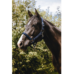 Cabezada de nylon Equithème Protector Marino Azul marino
