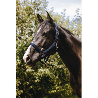 Cabezada de nylon Equithème Protector Verde