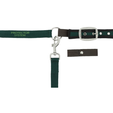 Cabezada de nylon Equithème Protector Verde Cabezada de nylon Equithème Protector Verde