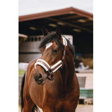 Cabezada de nailon Equithème Fashion Castaño Marr&amp;amp;amp;oacute;n
