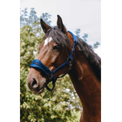 Cabezada de nylon Equithème 3D Mesh Azul real