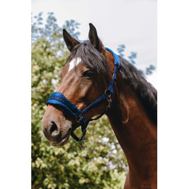 Cabezada de nylon Equithème 3D Mesh Azul real