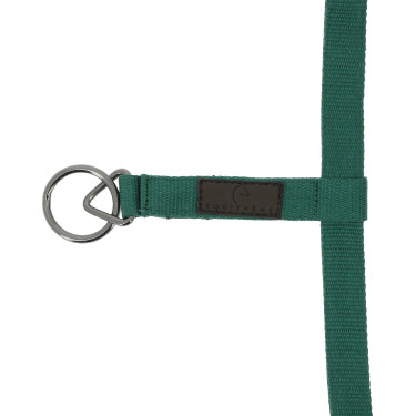 Cabezada de nylon Equithème 3D Mesh Verde