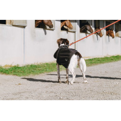 Capa para perro Equithème Softshell Negro