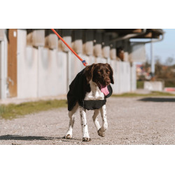 Capa para perro Equithème Softshell Negro