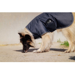 Cubreperro Equithème TYREX 600D Azúl / gris