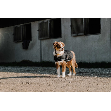 Cobija para perro Te quiero Equithème Negro Cobija para perro Te quiero Equithème Negro