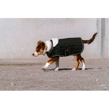 Cobija para perro Te quiero Equithème Negro Cobija para perro Te quiero Equithème Negro