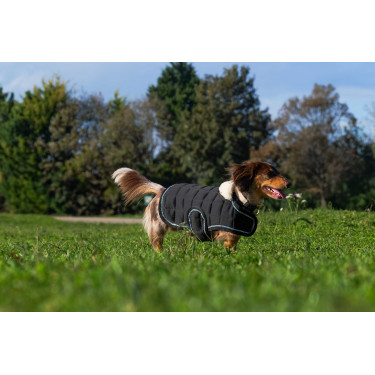 Cobija para perro Te quiero Equithème Negro Cobija para perro Te quiero Equithème Negro