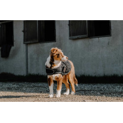 Cobija para perro Te quiero Equithème Negro Cobija para perro Te quiero Equithème Negro