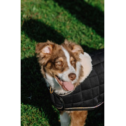 Cobija para perro Te quiero Equithème Negro Cobija para perro Te quiero Equithème Negro