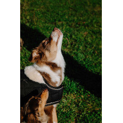 Cobija para perro Te quiero Equithème Negro Cobija para perro Te quiero Equithème Negro