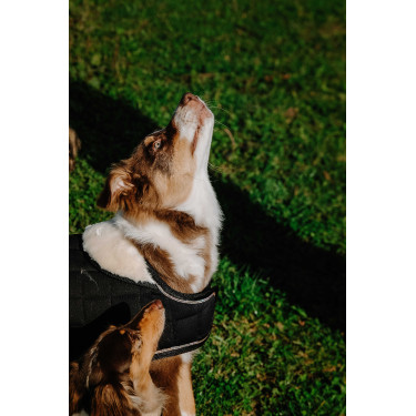 Cobija para perro Te quiero Equithème Negro Cobija para perro Te quiero Equithème Negro