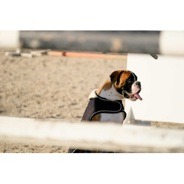 Cobija para perro Te quiero Equithème Negro Cobija para perro Te quiero Equithème Negro