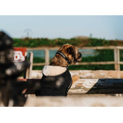 Cobija para perro Te quiero Equithème Negro Cobija para perro Te quiero Equithème Negro