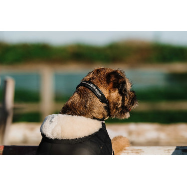 Cobija para perro Te quiero Equithème Negro Cobija para perro Te quiero Equithème Negro