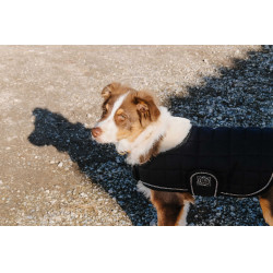 Cobija para perro Te quiero Equithème Negro Cobija para perro Te quiero Equithème Negro