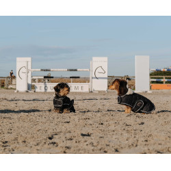 Cobija para perro Te quiero Equithème Negro Cobija para perro Te quiero Equithème Negro