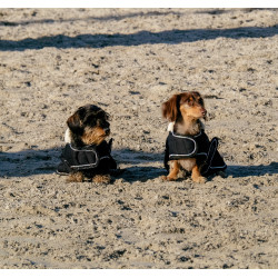 Cobija para perro Te quiero Equithème Negro Cobija para perro Te quiero Equithème Negro