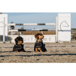 Cobija para perro Te quiero Equithème Negro Cobija para perro Te quiero Equithème Negro