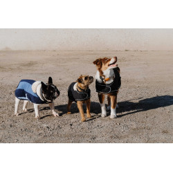 Cobija para perro Te quiero Equithème Negro Cobija para perro Te quiero Equithème Negro