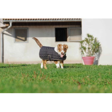 Cobija para perro Te quiero Equithème Negro Cobija para perro Te quiero Equithème Negro