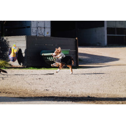 Cobija para perro Te quiero Equithème Negro Cobija para perro Te quiero Equithème Negro