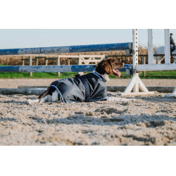 Capa para perro Equithème Eco 600D Marino Azul marino Capa para perro Equithème Eco 600D Marino Azul marino
