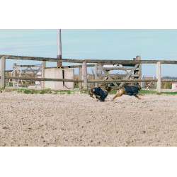 Camisa polar para perro Equithème Marino Azul marino