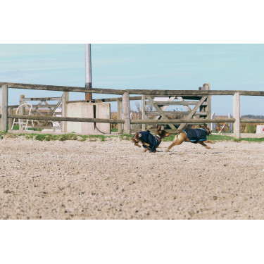 Camisa polar para perro Equithème Marino Azul marino