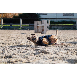 Camisa polar para perro Equithème Marino Azul marino