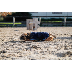 Camisa polar para perro Equithème Marino Azul marino